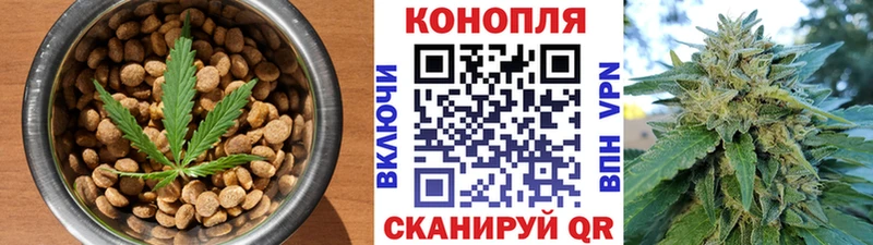 купить закладку  Ужур  Cannafood марихуана 