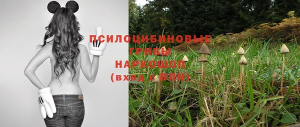 дурь Наволоки