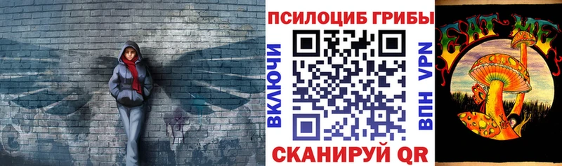 купить наркотик Ужур Псилоцибиновые грибы Psilocybe